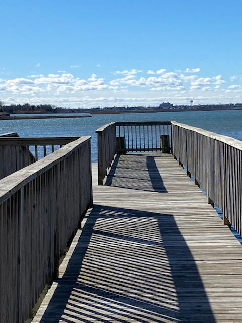 Gallery Photo 26